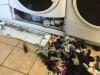 Eine Frau hat einen Ort gefunden, an dem Socken aus der Waschmaschine verschwinden, und den gibt es wirklich. Wo verschwinden Socken?